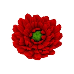 Gerbera červená 1ks